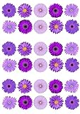 30 Mixed Purple Lilac Gerbera Flowers Edible Wafer paper Cake Topper Decorated Sheet - 30 Individual Printed Flowers