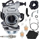Qiuwanzia TRX350 Carburetor Kit for Honda Foreman 400 450 Fourtrax 300 350 TRX350TM TRX350TE TRX350ES TRX350FE TRX300 4-Stroke QUAD ATV TRX 450 TRX450ES TRX450FE TRX450FM TRX450FW TRX450S Parts