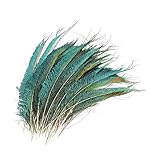 Trimming Shop 10 Pcs Natural Peacock Sword Feathers 25-30cm Peacock Green Tail Feathers for Wedding Costume Party Carnival Holiday, Home Decoration & DIY Crafts