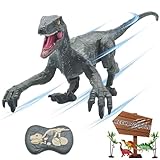 BUBUQE Remote Control Dinosaur Toys for Boys Kids Girls 3 4 5 6 7 8 Electronic RC Robot Toy Walking Roaring Velociraptor Realistic 18.1" Jurassic Dino Rechargeable Raptor Blue Birthday Gift