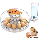 M12 - Egg Incubator with Automatic Turning and Humidity Control - 12/24 Eggs, 360° View, Easy to Use and Clean (White Orange)