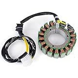 TERAM LOISIRS Stator Compatible with Honda VTR 1000 SP VTR SP-1 / SP-2 from 2000 2001 2002 2003 2004 2005 2006