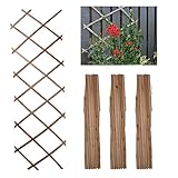 DIVCHI Wooden Trellis Expandable Garden Wall Trellis For Climbing Plants Decoration & Plants Partitioning (Pack Of 3) (180cm x 30cm) (Natural Wood)