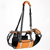 COODEO Mobility Dog Lift Harness, Emergency Dog Carry Sling, Pet Rear Leg Support Rehabilitation Lifts Vest, Dog Carrier for Senior Dogs Joint Injuries, Arthritis (Orange, M)