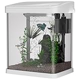 Fish Tank, 9L Small Glass Aquarium with Filter System, LED Lights, Water Pump, Fish Tank for Goldfish, Mini Fish, Shrimps, White