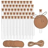 zrfgbxim 50 Pcs Clear Plastic Test Tubes with Corks, Reusable Transparent Plastic Sample Test Tubes Vases for Plants Flowers Beads Sweets Candy Lab DIY Craft, 13x78mm(6ml), with 5m Hemp Rope (13x78mm)