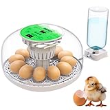 Okkobi M12 - Egg Incubator with Automatic Turning and Humidity Control - 12/24 Eggs, 360° View, Easy to Use and Clean - Incubators for Hatching - Made for UK - White & Green