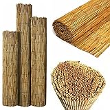 SASONS® Quality Garden Natural Peeled Reed Fence Screen Roll Panel Best for Outdoor Privacy, Fencing Screening Wooden Fence Walls Sun/Wind Protection [ 1.2 x 4 meter ]