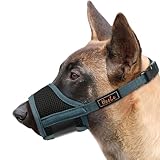 HEELE Dog Muzzle Breathable Mesh and Durable Nylon Dog Muzzle with Adjustable Loop and Soft Pad Dog Training Muzzle Prevent for Barking Biting Chewing (Green, L)