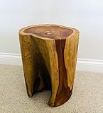 My Square Mile Wood Side Table Solid Tree Trunk Teak Suitable for Indoor/Outdoor End Table 40cm x 30cm (Tree Trunk Side Table (40cm))