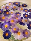 Anglesit Pre-Cut Beautiful Gradient Purple Mixed Size Flowers Edible Rice Wafer Paper Cupcake Toppers Cake Decorations Birthday Wedding Party Celebration (Purple)