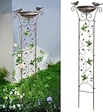 Taylor & Brown Bird Bath Bowl with Garden Trellis Outdoor, Vintage Decorative Birdbaths Bowl for Climbing Plants Flowers, Freestanding Garden Plant Support with Detachable Iron Bowl (Hummingbird)