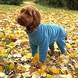 Warm Four-Legged Dog Fleece – Super Soft, Weather-Resistant (Teal, Medium)