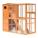 InTheMarket Cat Camp with a large run, fully enclosed, multi-tier house, solid construction, asphalt roof | 190 * 84 * 175cm / 6ft 3in * 2ft 9in * 5ft 9in | 1 Year Warranty