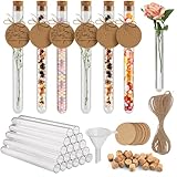 OFFCUP Plastic Test Tubes, 20pcs Test Tubes with Cork Stoppers, 16 x 150mm Clear Test Bottle,Test Tubes With Lids for DIY Craft, Laboratory, Candy, Birthday Party.