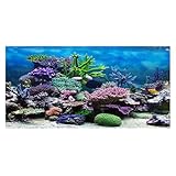 Tiiyee Fish Tank Background Sticker, 3D Aquarium Décor Backgrounds Fishtank Backdrop Wallpaper Underwater Plant Scene PVC Self Adhesive Poster for Coral Aquarium Forest Ocean Backing Stickers 61x30 cm