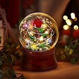 Rose Snow Globe Music Box, Preserved Red Rose Flower Musical Snow Globe LED Light Up Rose Snowglobe Water Globe Rose Gift for Women Girls, Romantic Gift for Mother's Day,Anniversary