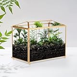 CROWNSHOP Glass Terrarium House 25 x 15 x 20 cm Glass Geometric Terrarium Cube Clear Plant Terrarium Planter for Succulent Flower Home Garden Indoor Balcony Tabletop Decor