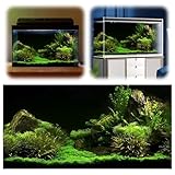 Fish Tank Background, Aquarium Poster Background 3D Effect World Wallpaper Backdrop Sticker 61 * 30Cm PVC Self Adhesive Underwater Fish Tank Decorations Pictures Seafloor Water Rock Grass