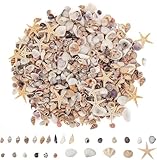 Wirow 1000 PCS Mini Sea Shells Small Starfish Mixed, 20 Kinds of Tiny Seashells Bulk for Crafts Natural Beach Seashells DIY Beach Theme Party Candle Decor Wedding Fish Tank