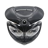 ZYHW Motorcycle Street Fighter Black Headlight Fairing Light Lamp Yellow Amber Color (Black)