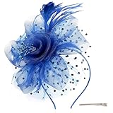 Fascinators for Women,Women Accessories,Royal Blue Fascinator for Women Tea Party Cocktail Wedding Headwear Headband for Women Girls