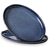 vicrays Serving Platter Ceramic Tray Plates Extra Large Oval 14.5 Inch Porcelain Dinner Plates Long Serving Dish Set Entertaining Party Restaurant Food Meat Sushi Fish Turkey Platter