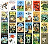 Tintin Comic Strip Series - A Collection of 23 Full Sized Books