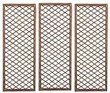 Selections Pack of 3 Willow Trellis Framed Panel (120 x 45 Centimeter)