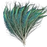 40 Pcs Peacock Sword Feathers Natural Peacock Feathers Peacock Green Tail Feathers for DIY Craft, Costume, Wedding Holiday Party