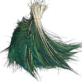 KOLIGHT Natural Peacock Sword Feathers 25-35cm for DIY Home Wedding Party Office Decoration (20pcs)