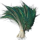 Sowder Natural Peacock Sword Feathers 10-15 inches for Wedding Home Decoration Pcak of 30