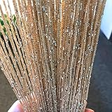 Vagasi 2 Pack Beaded Curtains String 100x200 cm Beaded Curtains for Doorways Tassel Glitter String Curtains Room Dividers Curtain Hippie Room Décor for Living Room, Bedroom, Closet, Party