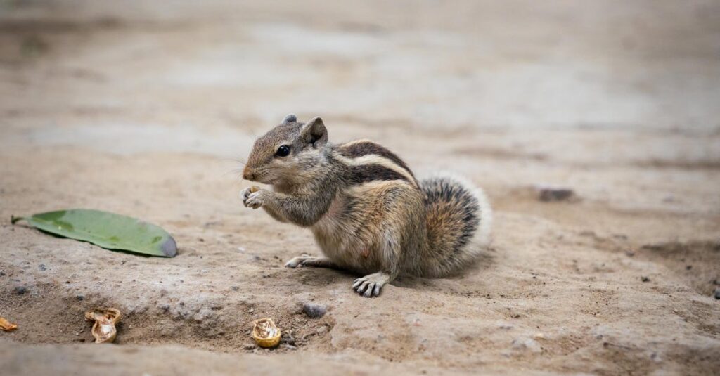 explore the evolution of the sony walkman, from its revolutionary beginnings to modern innovation in portable music players.