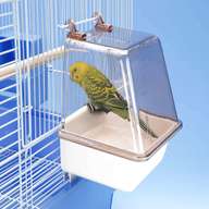 bird bath cage for sale