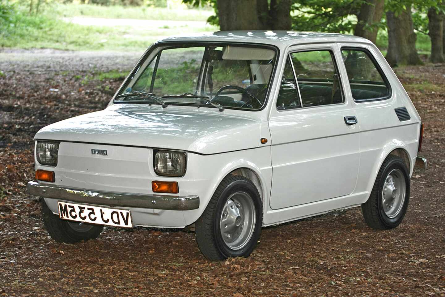 Second hand Fiat 126 Car in Ireland View 38 bargains