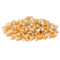 popcorn kernels for sale