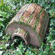 hedgehog house for sale