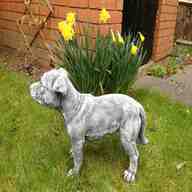 staffordshire bull terrier ornament for sale