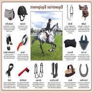 horse riding equipment for sale