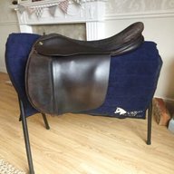 fylde saddle for sale
