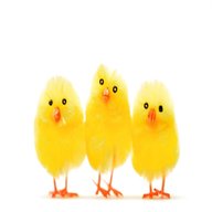 easter chick decorations for sale
