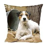 jack russell terrier cushions for sale