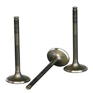 exhaust valve for sale