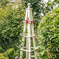 plant obelisk for sale