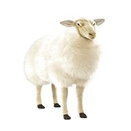 life size sheep for sale