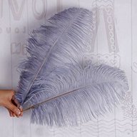 ostrich feathers grey for sale
