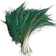 peacock sword feathers for sale