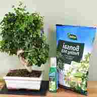 bonsai compost for sale