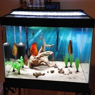 aquarium fish tanks 30 gallon for sale